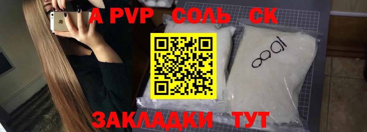 APVP СК Бердск