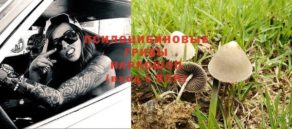 таблы Няндома