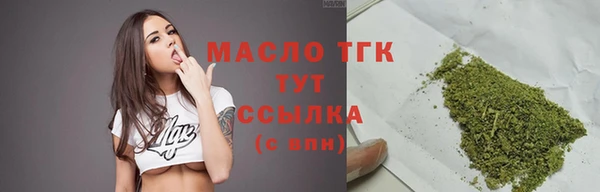 молекула духа Нягань