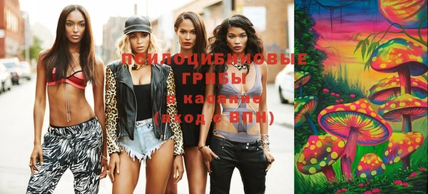 молекула духа Нягань