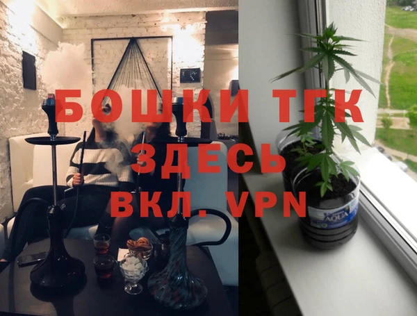 молекула духа Нягань