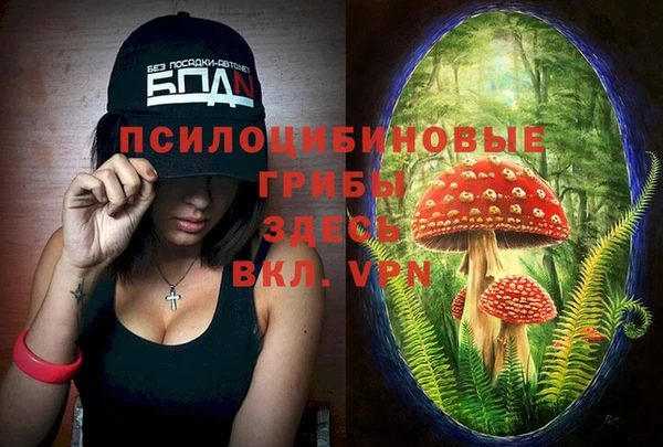 Альфа ПВП Фурманов