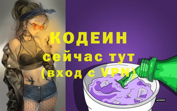 таблы Няндома