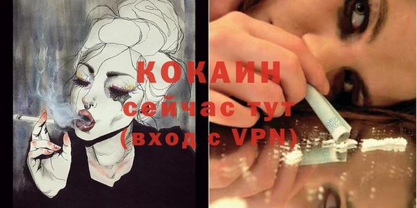 молекула духа Нягань