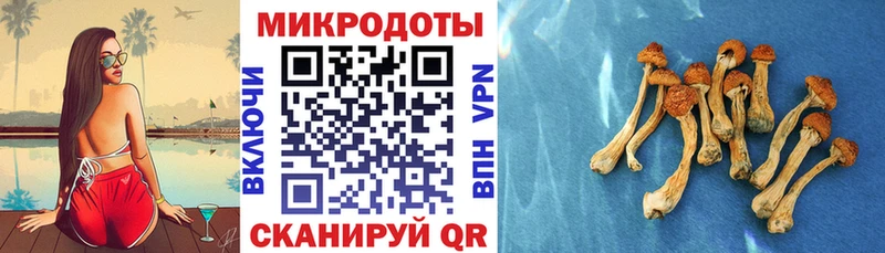 Псилоцибиновые грибы прущие грибы  Бердск 